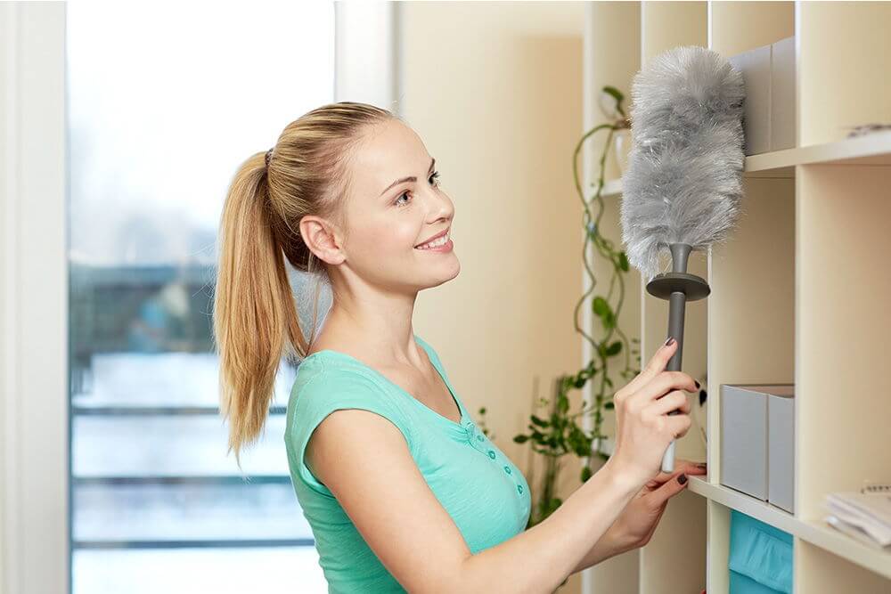 Upholstery Cleaning Shepherds Bush W12